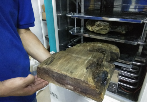 助力文物保护工作 冻干技术解决百年船木保存难题